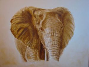 Voir le détail de cette oeuvre: tête éléphant