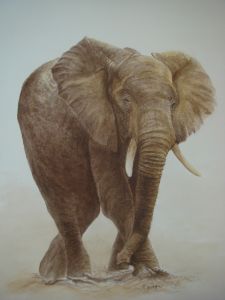 exposition galerie art present exposition galerie art present